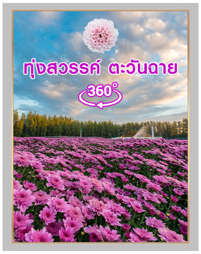 ทุ่งสวรรค์ ตะวันฉาย
