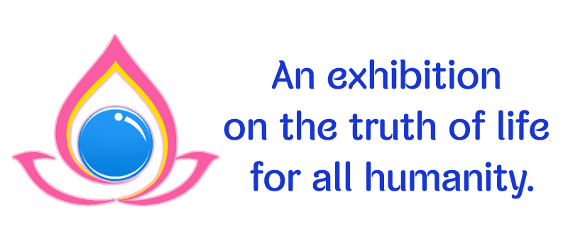 TKWP Logo